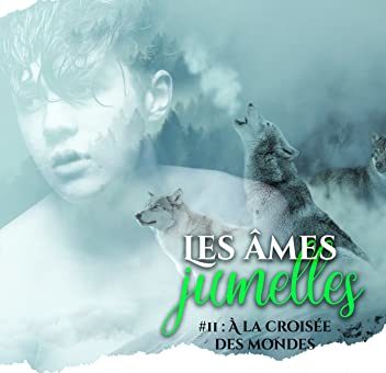 Ames-Jumelles2